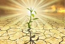 آشنایی با پلی‌آمین‌ها (قسمت نهم)