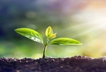 آشنایی با پلی‌آمین‌ها (قسمت یازدهم)