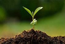 آشنایی با نقش نیتریک‌اکسید و عملکرد فیزیولوژیکی آن (قسمت دوم)