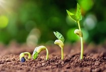 آشنایی با نیترات در کشاورزی (قسمت اول)