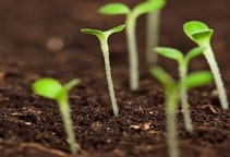 آشنایی با گاما و بتا آمینو بوتیریک اسید (قسمت اول)