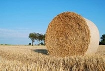 آشنایی با مدیریت کاه و کلش گندم (قسمت اول)