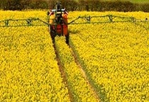 آشنایی با آبیاری مزرعه کلزا (قسمت پنجم)