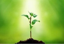 آشنایی با کیتوسان و اثر میکروب‌کشی و آفت‌کشی آن (قسمت شانزدهم)