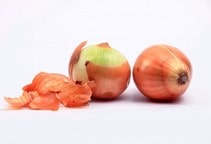 آشنایی با بیماری پوسیدگی سفید پیاز (قسمت دوم)