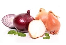 آشنایی با بیماری پوسیدگی سفید پیاز (قسمت سوم)