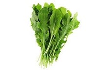 آشنایی با زراعت روکولا