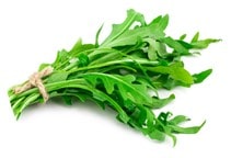 آشنایی با آفات روکولا