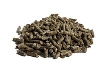 آشنایی با استفاده از تفاله چغندرقند در تغذیه دام