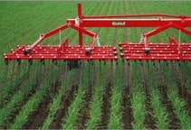 آشنایی با خاکورزی بین ردیفی و مبارزه مکانیکی با علف‌های هرز ذرت