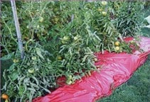 آشنایی با کاربرد خاکپوش‌های پلی‌اتیلنی (قسمت اول)